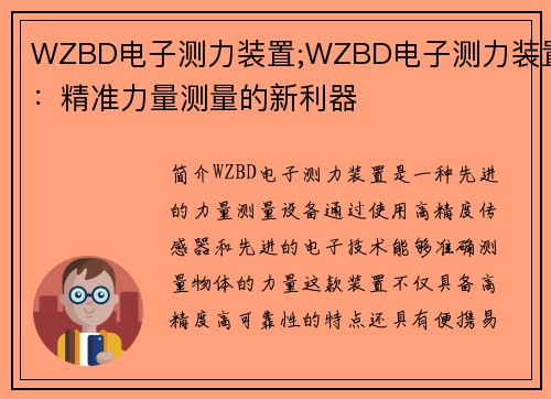 WZBD电子测力装置;WZBD电子测力装置：精准力量测量的新利器