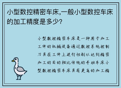 小型数控精密车床,一般小型数控车床的加工精度是多少？